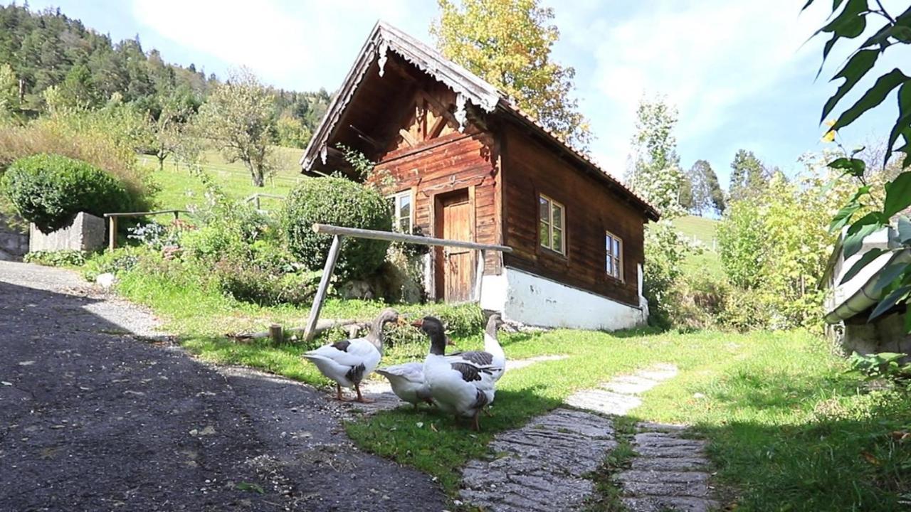 발가우 Haus Holler 아파트 외부 사진